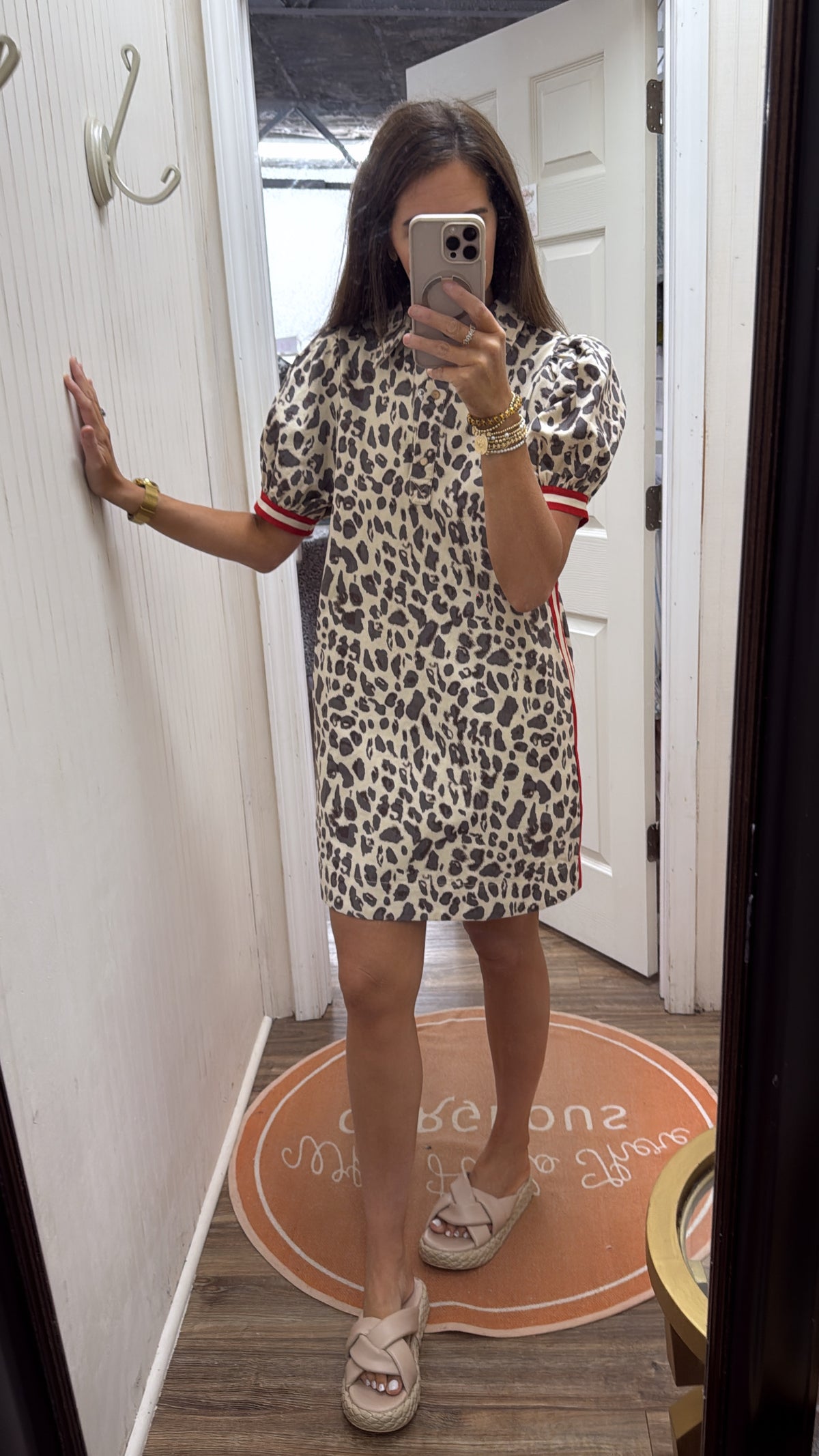 TAN LEOPARD RED ACCENT STRIPE DRESS