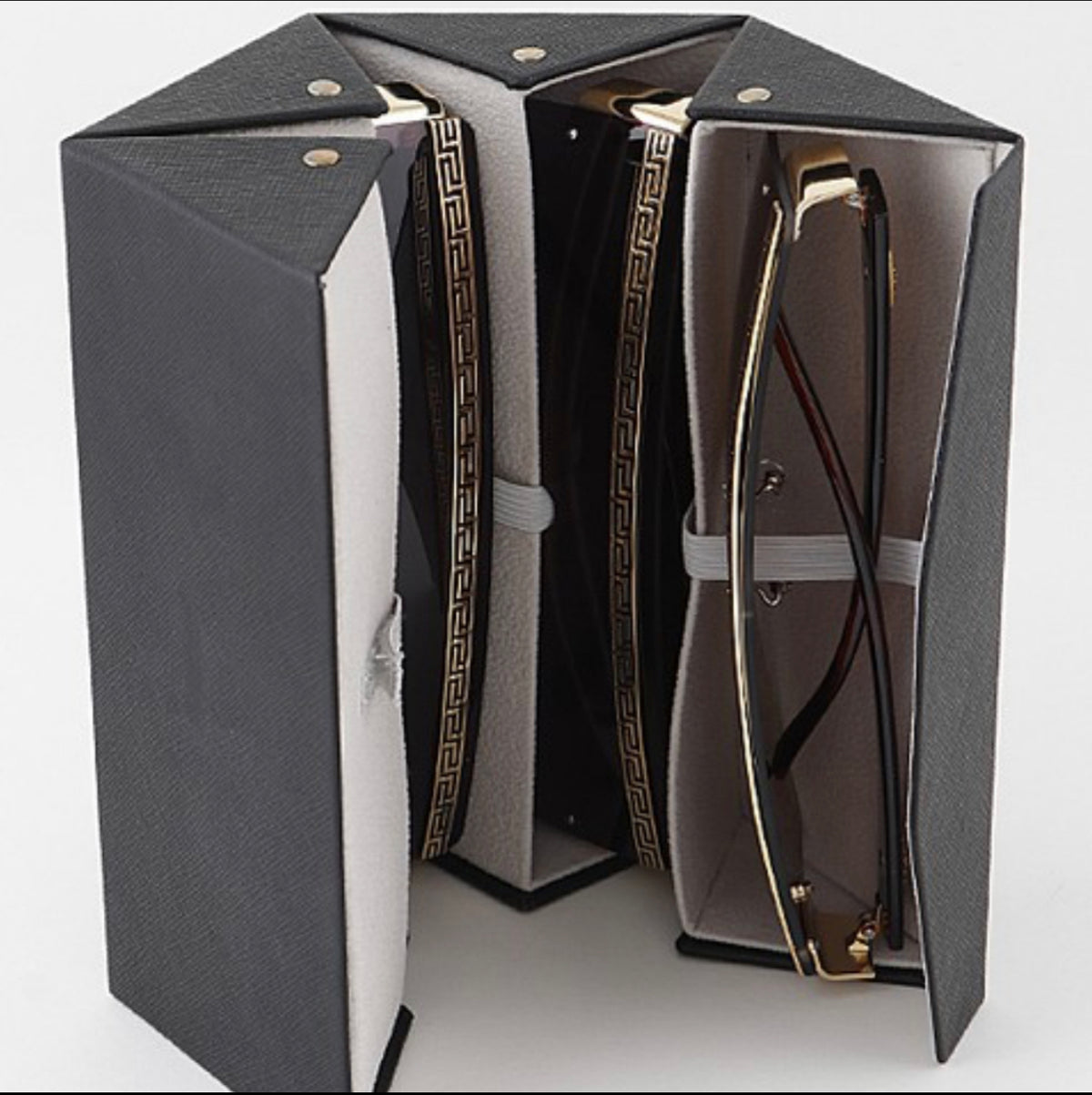 MULTIPLE SUNGLASS CASE